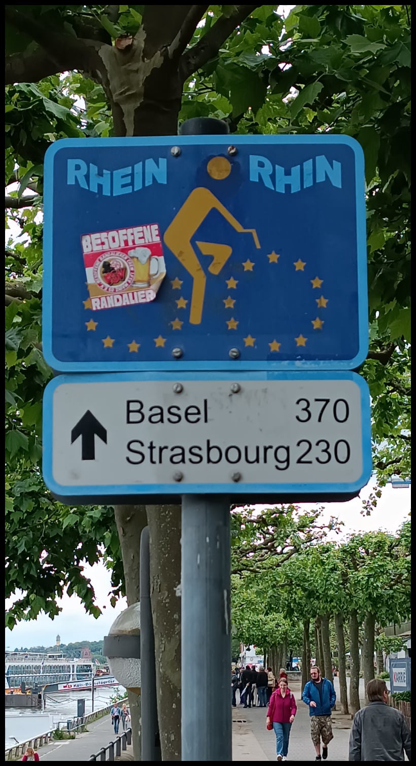 Mayence - Strasbourg à vélo, ça vous tente ?